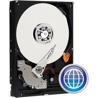 WD 250Go S-ATA II 16Mo (Caviar Blue)