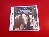 Pony Friends - Nintendo DS