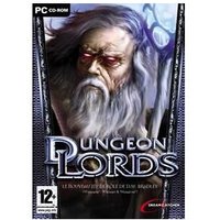 Dungeon Lords - Collector - PC