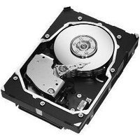 Seagate 300Go SAS Cheetah 15K.5