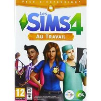 Les Sims 4 : Au travail (PC)