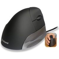 Evoluent Vertical Mouse