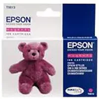 Epson T0613