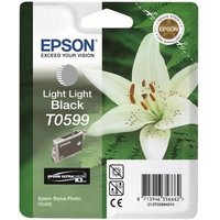 Epson T0599