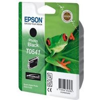 Epson T0541
