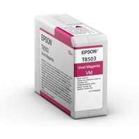 Epson T850300