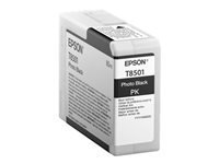 Epson T850100