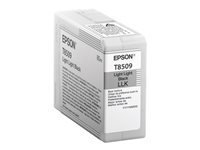 Epson T850900