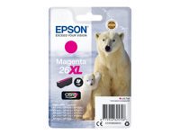 Epson Ours Polaire 26 XL Magenta