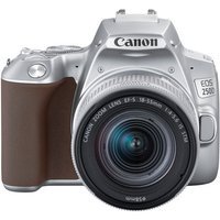 Appareil photo Reflex Canon EOS 250D Argent 18-55 IS STM