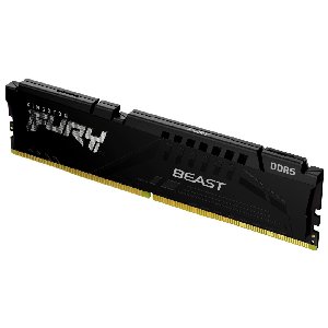 Kingston FURY Beast 16 Go DDR5 5600 MHz CL40