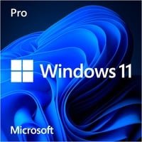 Microsoft 11 Professionnel 64 bits - OEM (DVD)