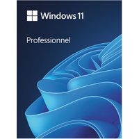 Microsoft Windows 11 Professionnel 64 bits - Version clé USB