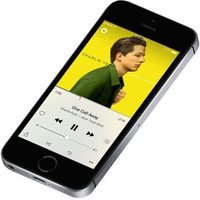 Apple iPhone SE 32Go gris sidéral
