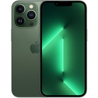 Apple iPhone 13 Pro 512Go vert