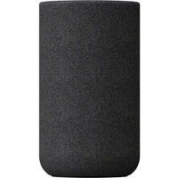 Sony SA-RS5