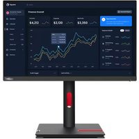 Lenovo 21.5" LED - ThinkVision T22i-30