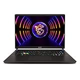 MSI Vector GP78 HX 13VH-013FR