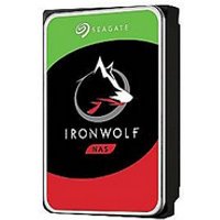 Seagate Technology Seagate IronWolf 1 To (ST1000VN008)