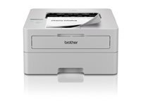 Brother HL-L2865DW