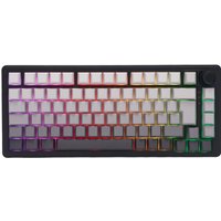 The G-Lab Keyz Elite 300 - Noir
