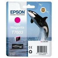 Epson Magenta T7603