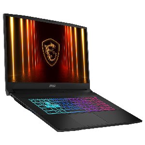 MSI Katana 17 HX B14WEK-003FR